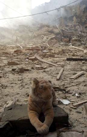 21.7.2006 sharif karim