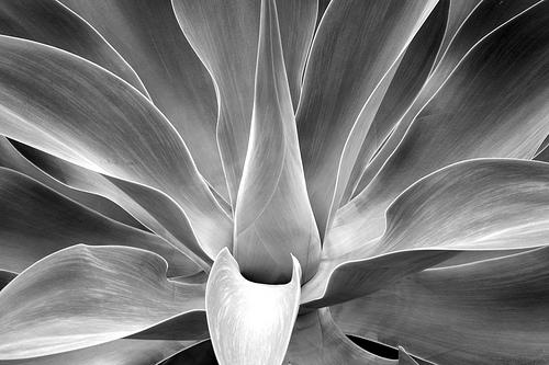 3754592291_af37f8ff31